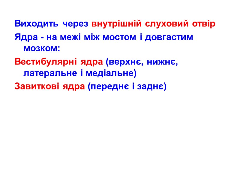 Виходить через внутрішній слуховий отвір Ядра - на межі між мостом і довгастим мозком:
